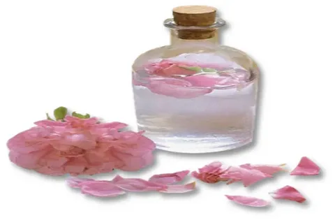 تصویر 3 از خرید گلاب غنچه + قیمت عالی با کیفیت